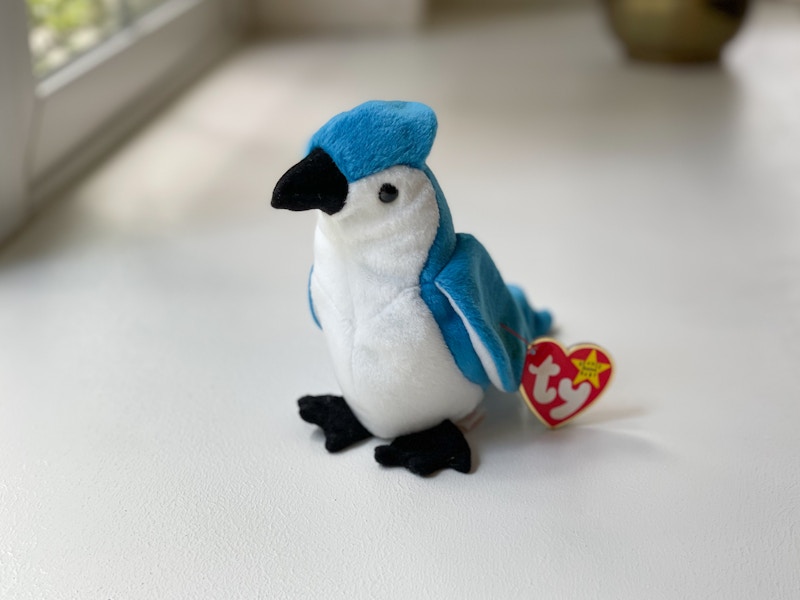 A Rocket the Blue Jay beanie baby sitting near a window.