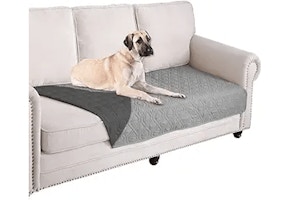 Pet Couch Cover