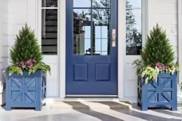 Lifestyle image of two Vitalismo Artificial Cedar Topiary Trees in a front porch setting outdoors