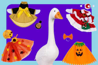 Wayfair Porch Goose