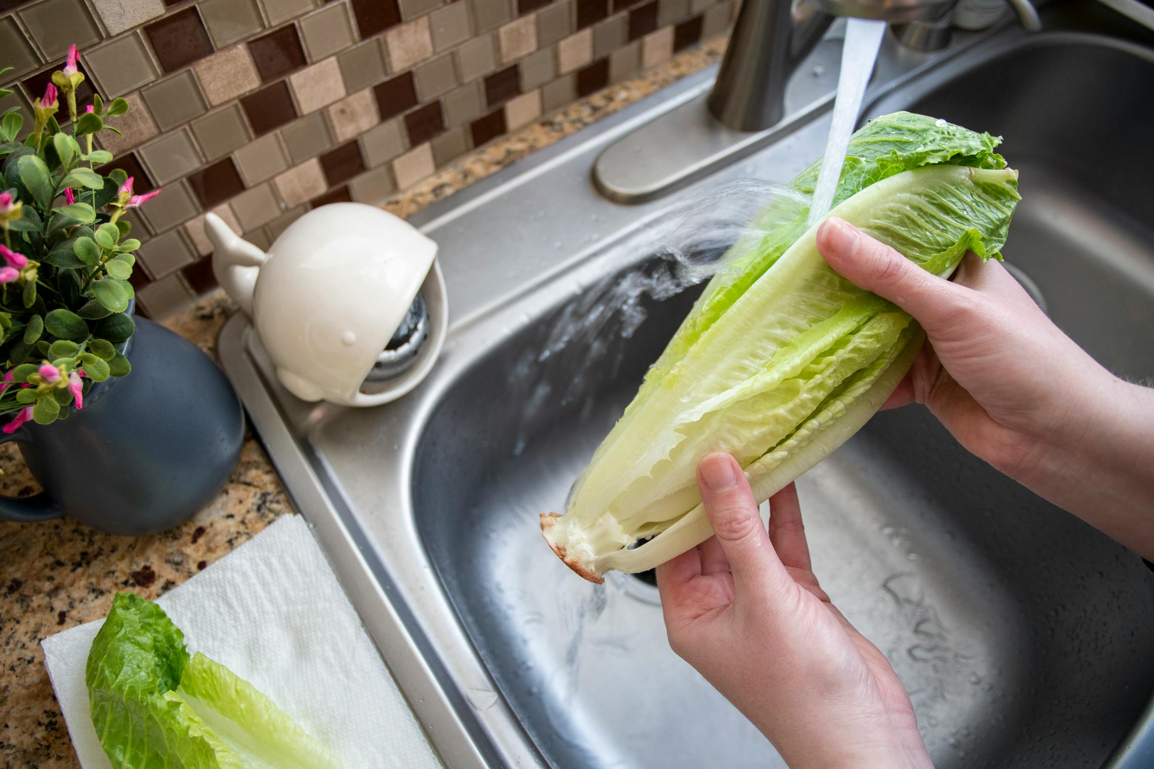 How to Clean Your Groceries During Coronavirus