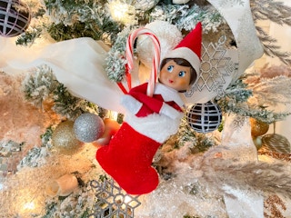 an elf on the shelf doll in a mini stocking holding a candy cane hanging in a christmas tree 