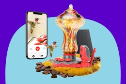 TT Nature Glass Smart Hummingbird Feeder on a blue background.