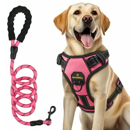 Dog Harness and Leash Set