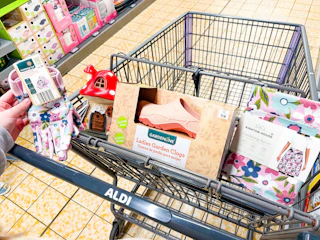 aldi-garden-group-1