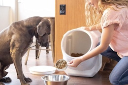 Vittles Vault Pet Food Storage Containers, Now as Low as $30 on Amazon card image