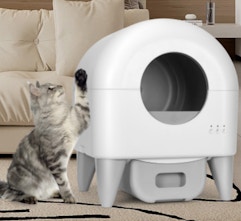 a cat next to a self-cleaning litter box