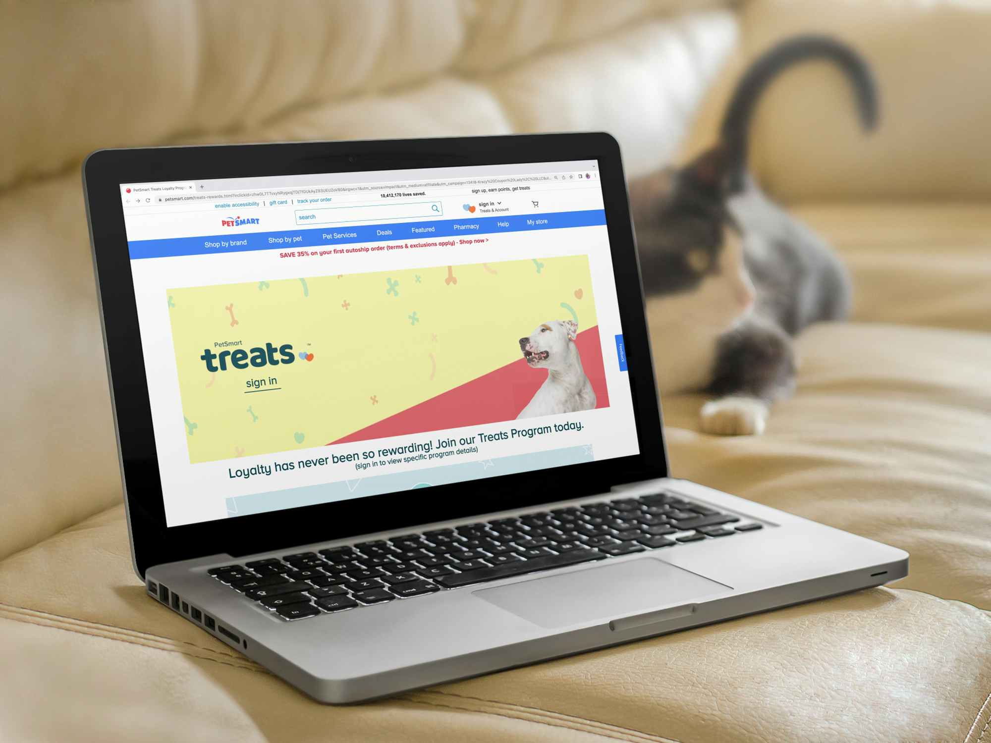 macbook laptop sitting on a couch with the petsmart loyalty program on it