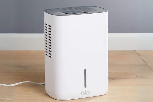 This Bestselling Dehumidifer Is Down to Just $69.99 After Kohl's Cash card image