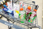 walgreens groceries in shopping cart