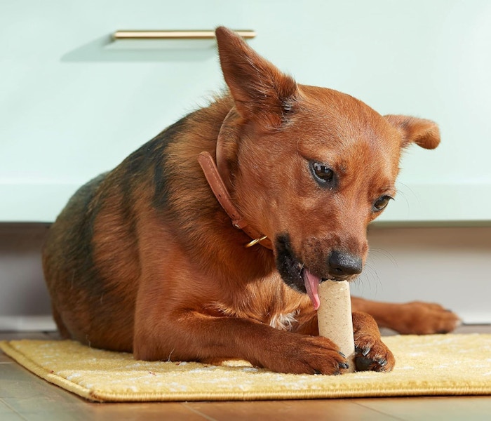 Amazon Rachael Ray Nutrish Dog Treats 2025 2