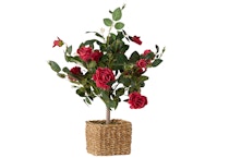 Wicker Park Faux Rose Bush