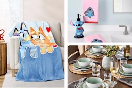 Valentine Throws, Dinnerware, Planters, and More New Sam's Club Finds card image