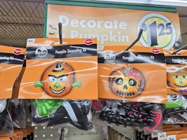Pumpkin Decorating Kit