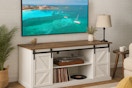The Home Depot Lacoo barn door tv stand