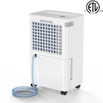 Dehumidifier