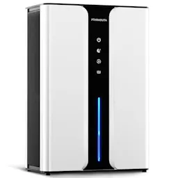 Home Dehumidifier