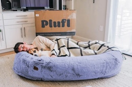 Plufl Human Dog Bed, Just $199.99 Shipped at Costco card image