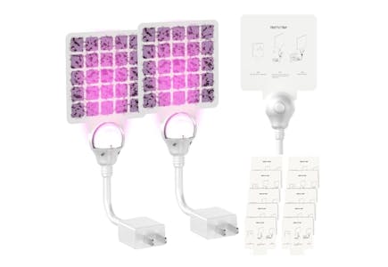 Indoor Flying Insect Trap Pack