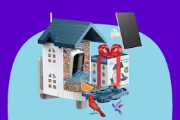 Smart Bird Feeder w Camera B0FJS5WZV5