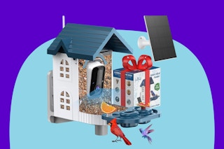Smart Bird Feeder w Camera B0FJS5WZV5