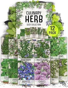 Herb Seeds Variety Pack