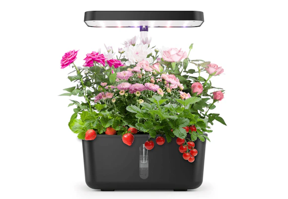 Hydroponics Garden