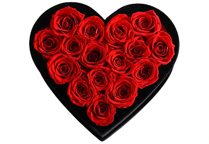Forever Roses