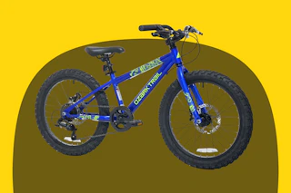 blue kids' mountain bike