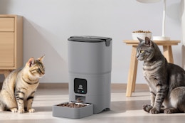 B0DXP9JVPW Pet feeder