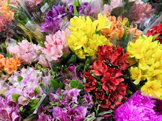 kroger-bloom-haus-flowers-2-sv