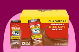 Horizon Chocolate Milk