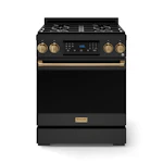 Convection Gas Range