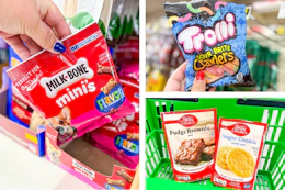 dollar tree groceries 3-photo collage