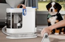 a carpet cleaner sitting on a floor with a dog 