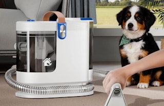 a carpet cleaner sitting on a floor with a dog