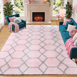 Area Rug