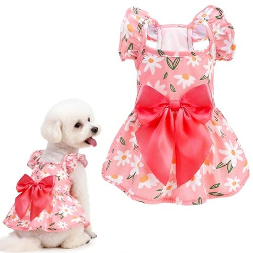 Dog Dress