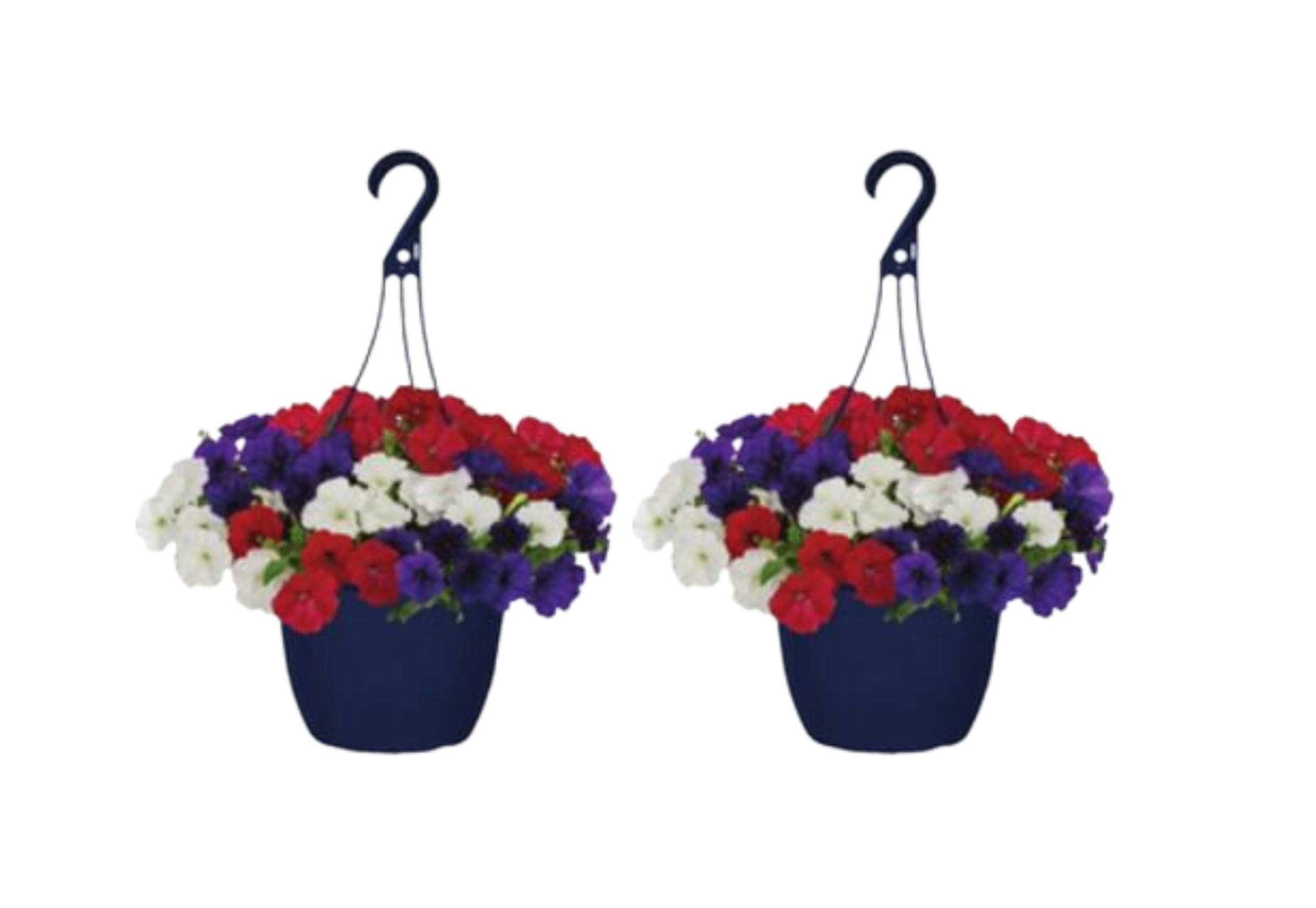 2 Hanging Flower Baskets