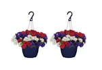 2 Hanging Flower Baskets