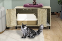 Hidden Cat Litter Box Enclosure, Only $49.99 on Amazon (Reg. $99.99) card image