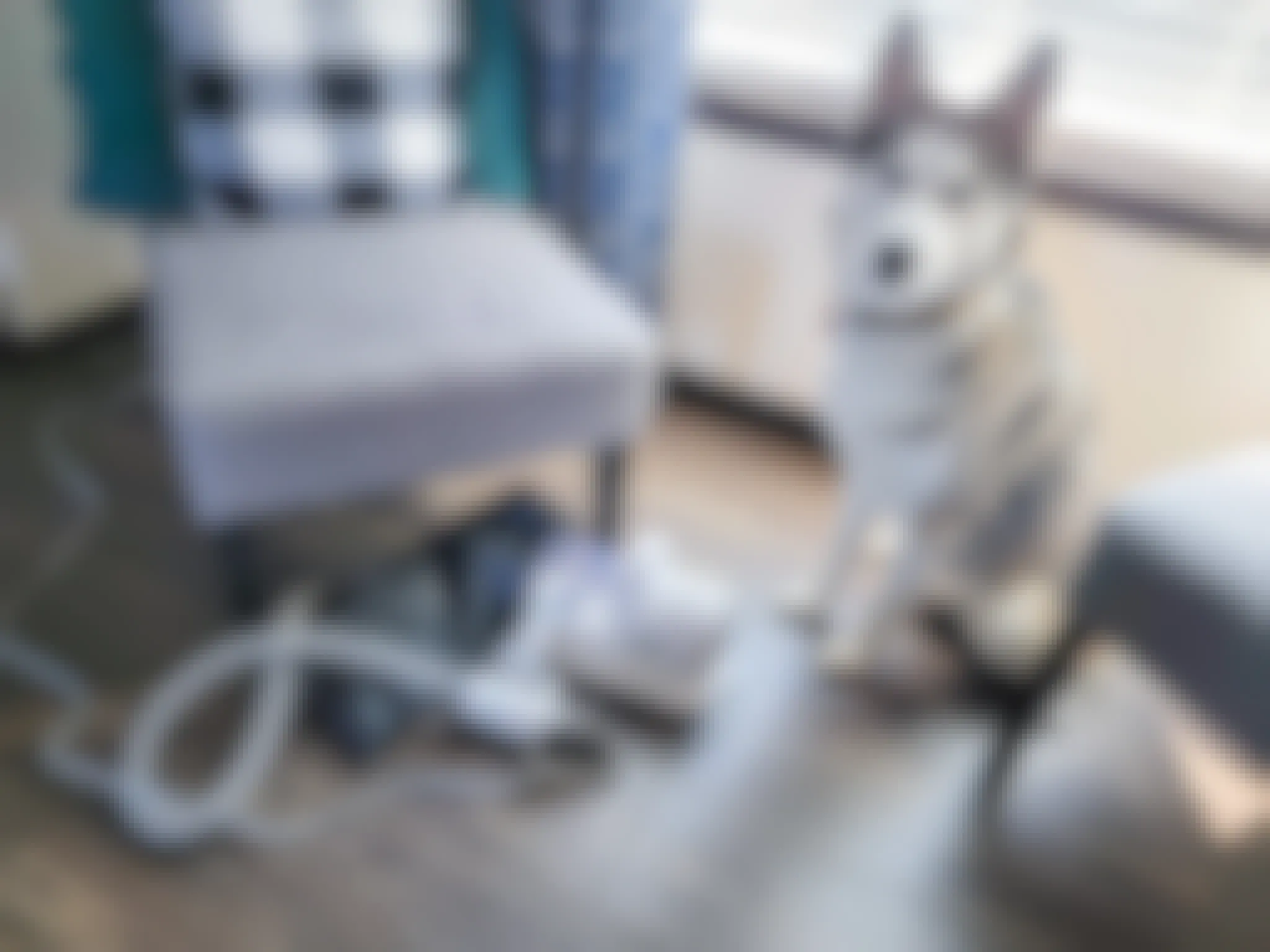 Neabot Pro Pet Grooming Kit & Vacuum, Only $127.49 on Amazon
