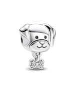 Pandora Moments Silver Charm