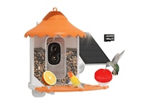 Bird Feeder With Camera