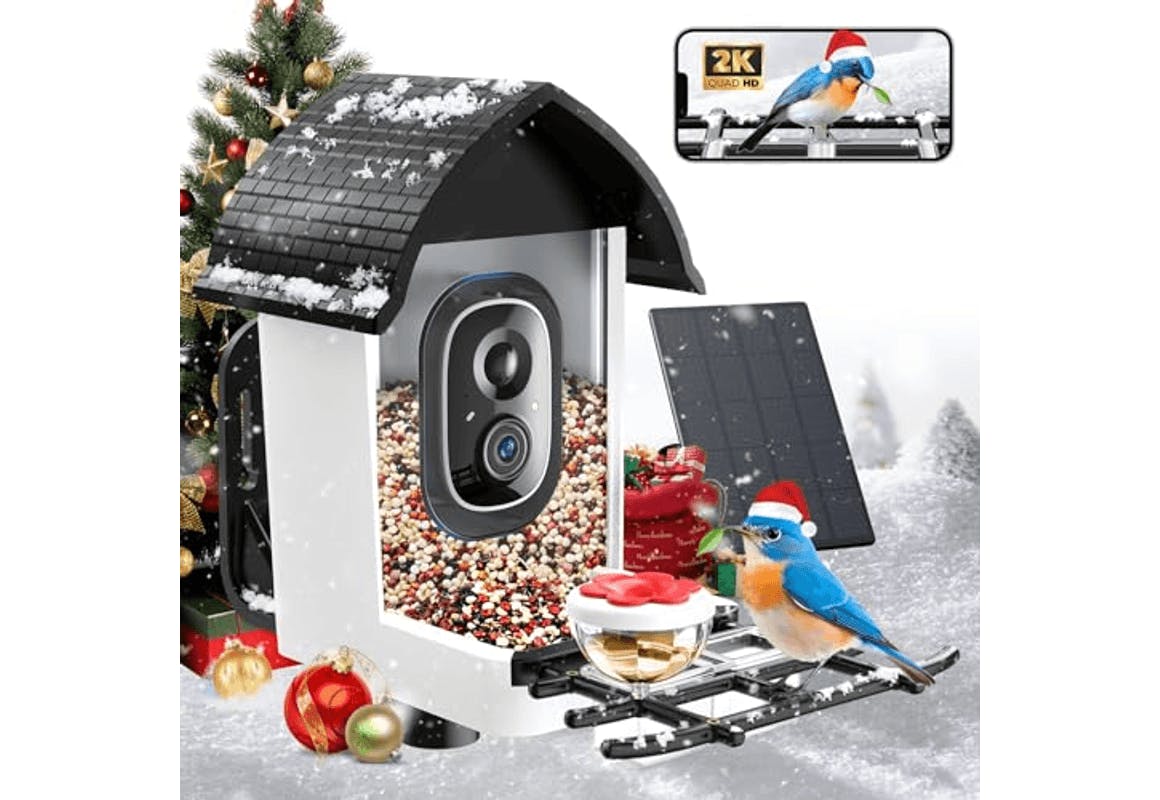 Bird Feeder With Camera