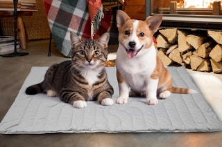 self warming pet mat
