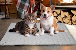 self warming pet mat