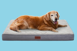 Walmart large orthopedic dog bed