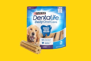 a dog chewing on a dental chew from purina
