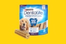 a dog chewing on a dental chew from purina